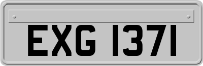 EXG1371