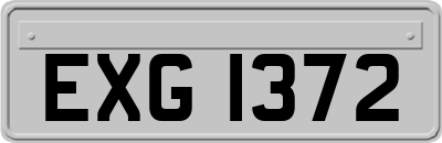 EXG1372