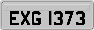 EXG1373