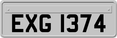 EXG1374