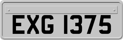 EXG1375