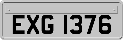 EXG1376