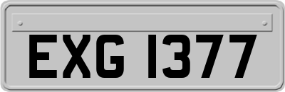 EXG1377