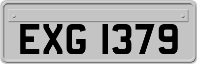 EXG1379