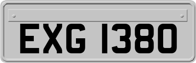 EXG1380