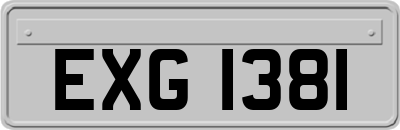 EXG1381
