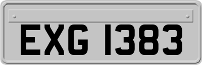 EXG1383