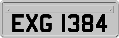EXG1384