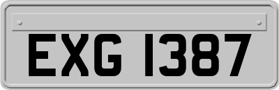 EXG1387