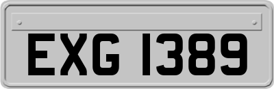 EXG1389