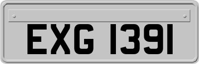 EXG1391