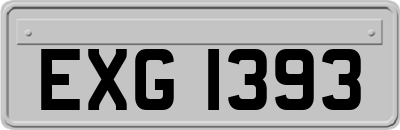 EXG1393