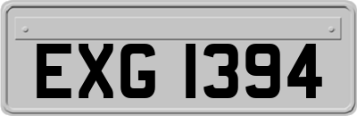 EXG1394