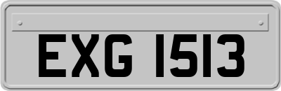EXG1513