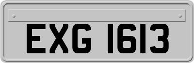 EXG1613