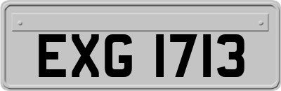 EXG1713