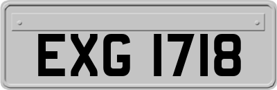 EXG1718