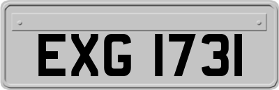 EXG1731