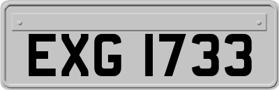 EXG1733