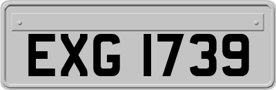 EXG1739