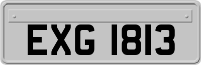 EXG1813