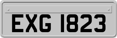 EXG1823