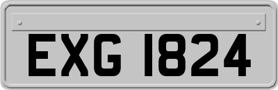 EXG1824