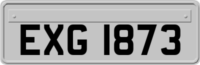 EXG1873