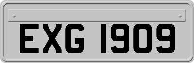EXG1909