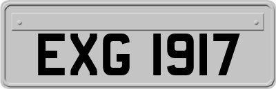 EXG1917