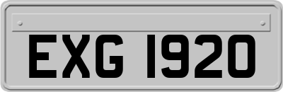 EXG1920