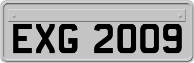 EXG2009