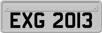 EXG2013