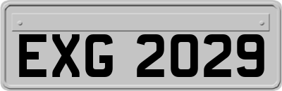 EXG2029