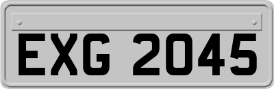 EXG2045