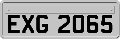 EXG2065