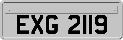 EXG2119