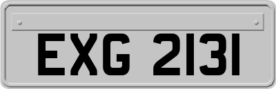 EXG2131