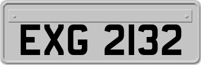 EXG2132