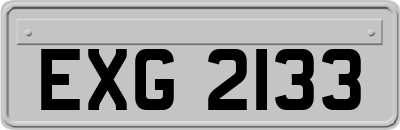 EXG2133