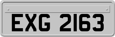 EXG2163