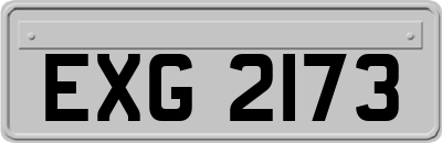 EXG2173