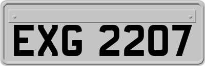 EXG2207