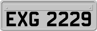 EXG2229