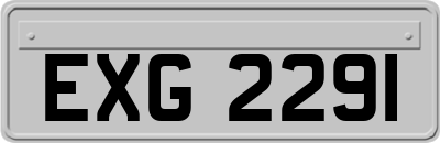 EXG2291