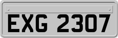 EXG2307