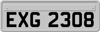 EXG2308