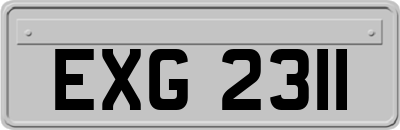 EXG2311