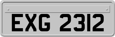 EXG2312