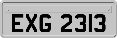 EXG2313